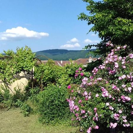 Вілла Jardin De Cure Клюні Екстер'єр фото